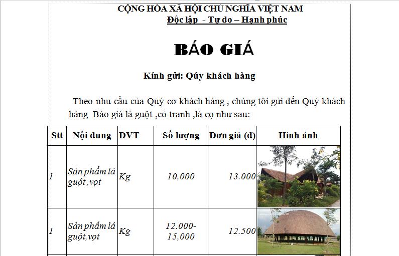 gia vot 