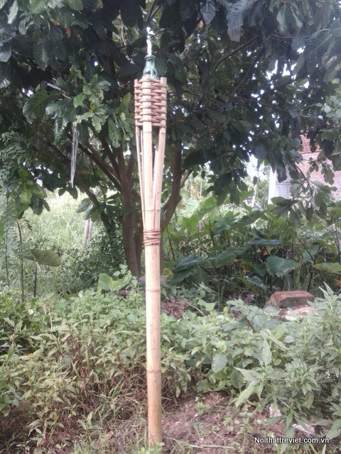 DUOC TRE THAP DAU 