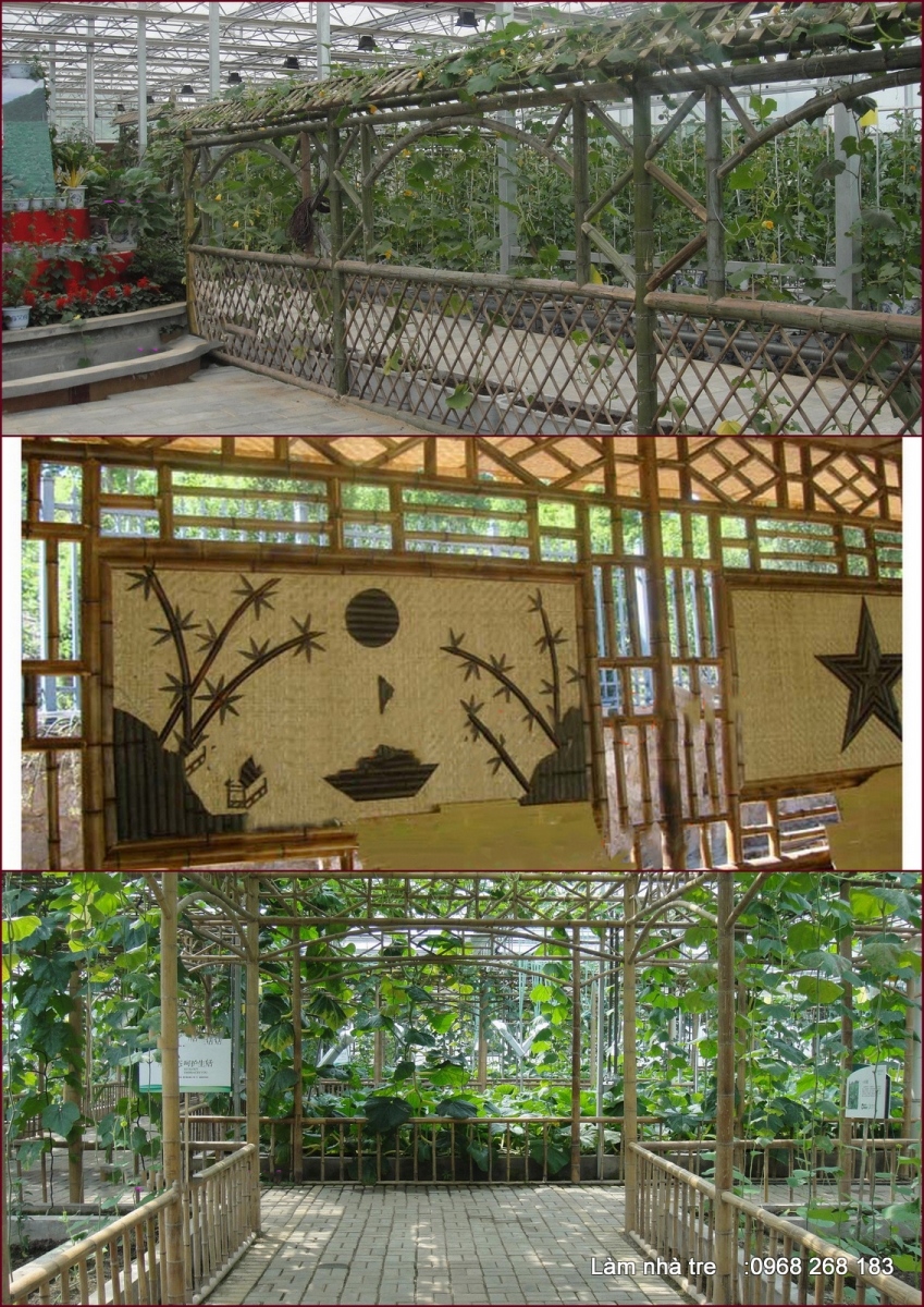 gian hoa bang tre 